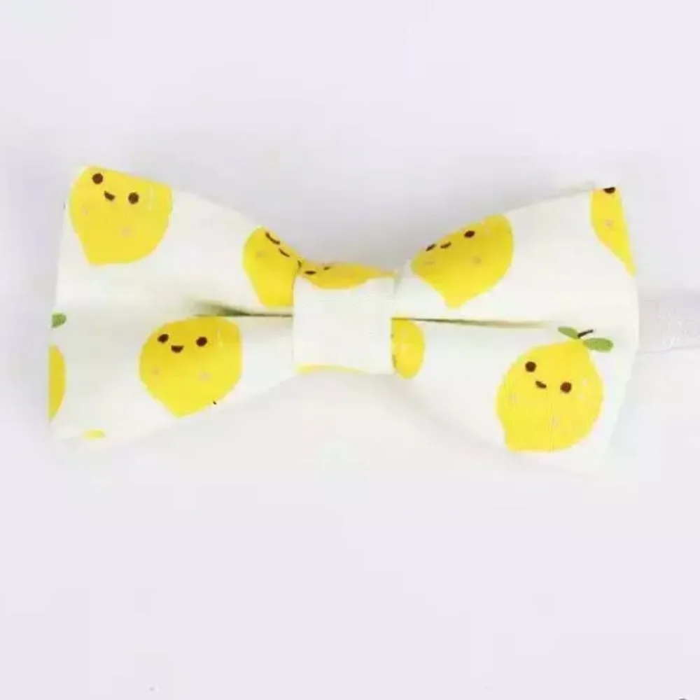 Trendy & Bright, Youth Adjustable Fruity Bow Tie, Assorted, One Size